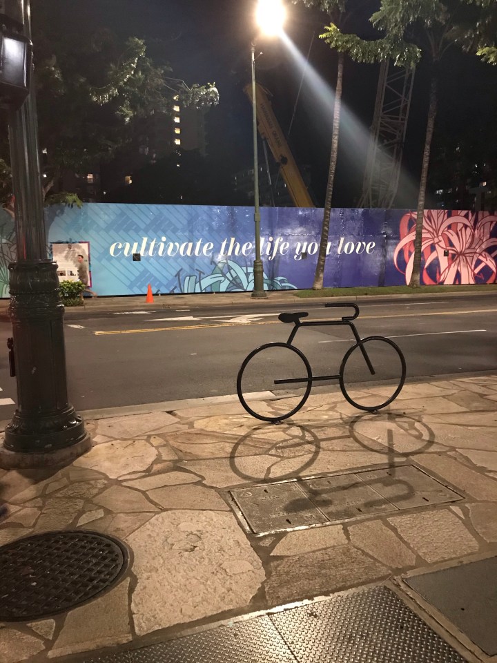 Hawaii Trip 2020: Pre-Lockdown Island&nbsp;Escape