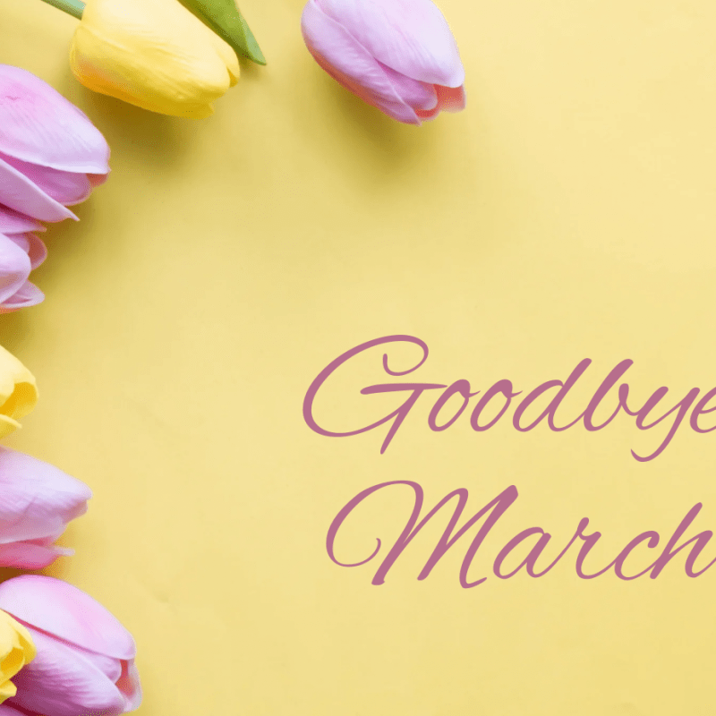 Spiritual Growth During Spring: Embracing Renewal and&nbsp;Faith